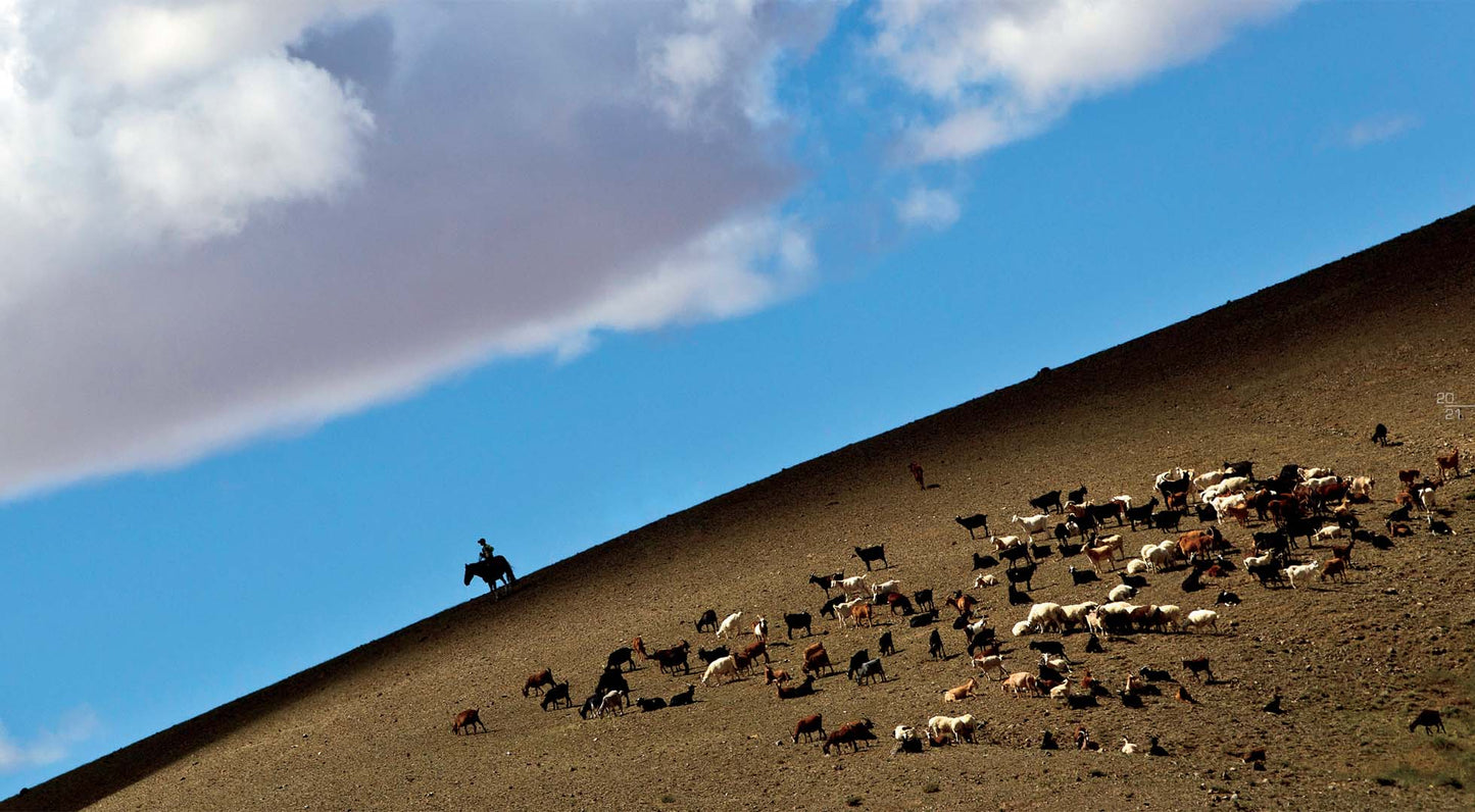 Mongolia Bike Challenge
