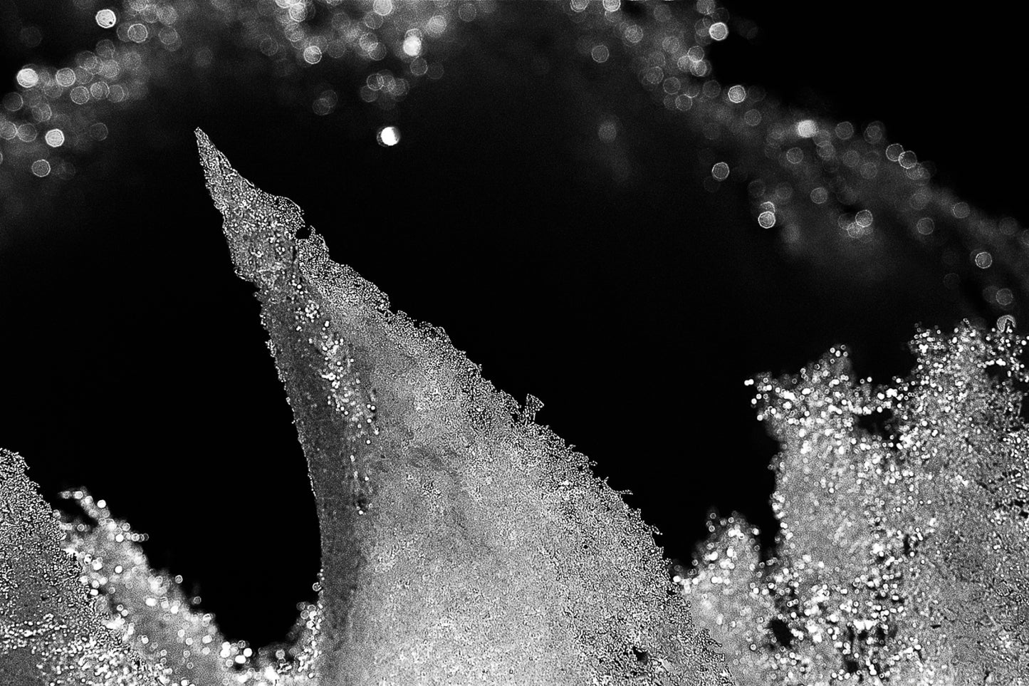 Snow