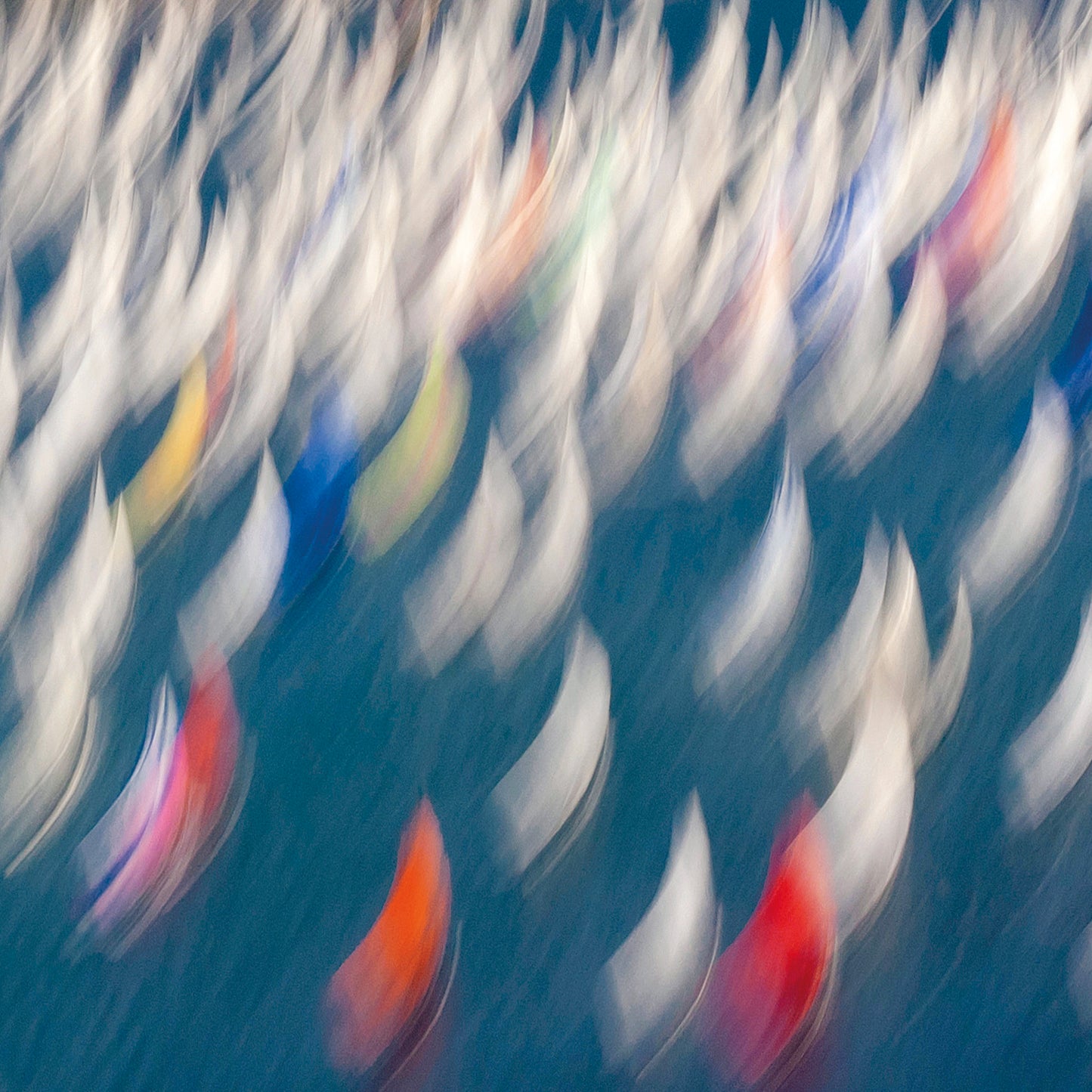 Miniframe - Farfalle