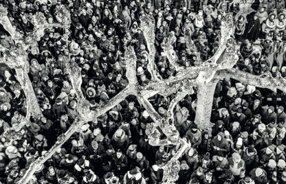 Forward to the star. The Pesa Vegia of Bellano