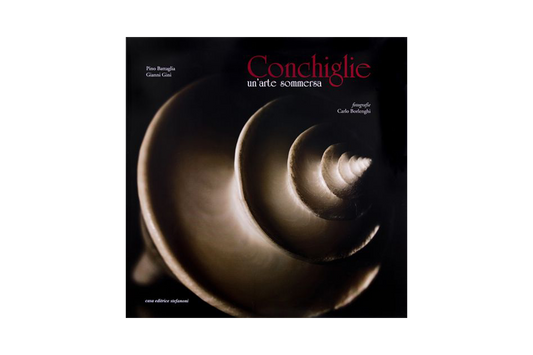 Conchiglie