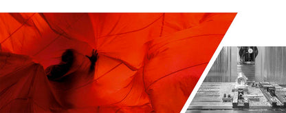 CARIBONI - everythings is possible